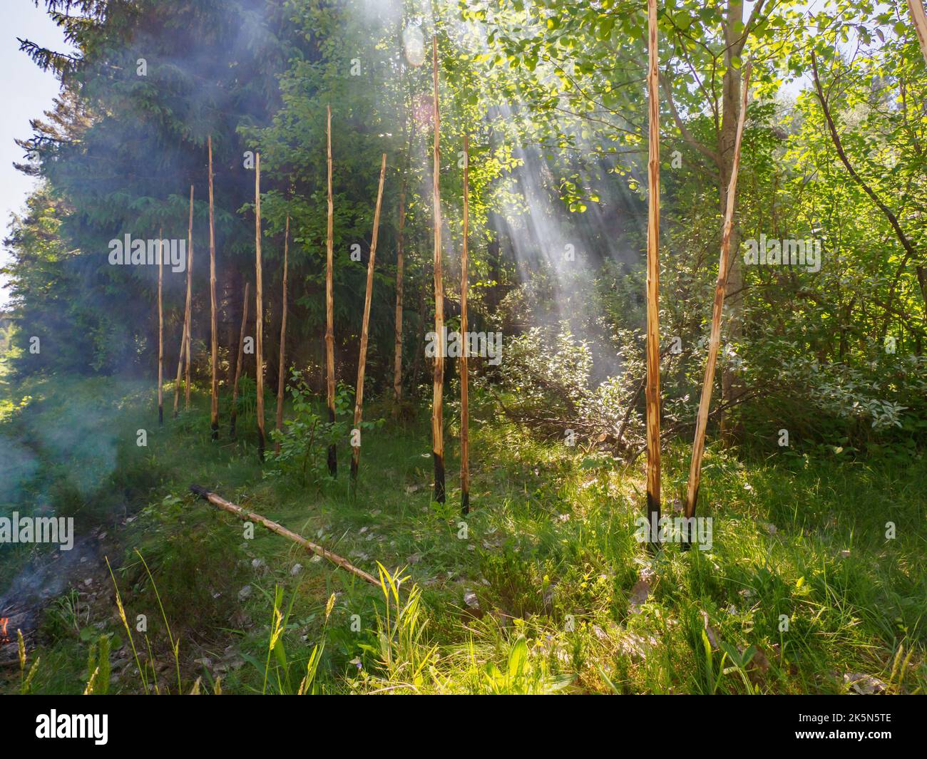 The roundpole fence is a wooden fence typical to the countryside in Sweden, Norway, Finland and Estonia. It is normally made from unbarked and unsplit Stock Photo