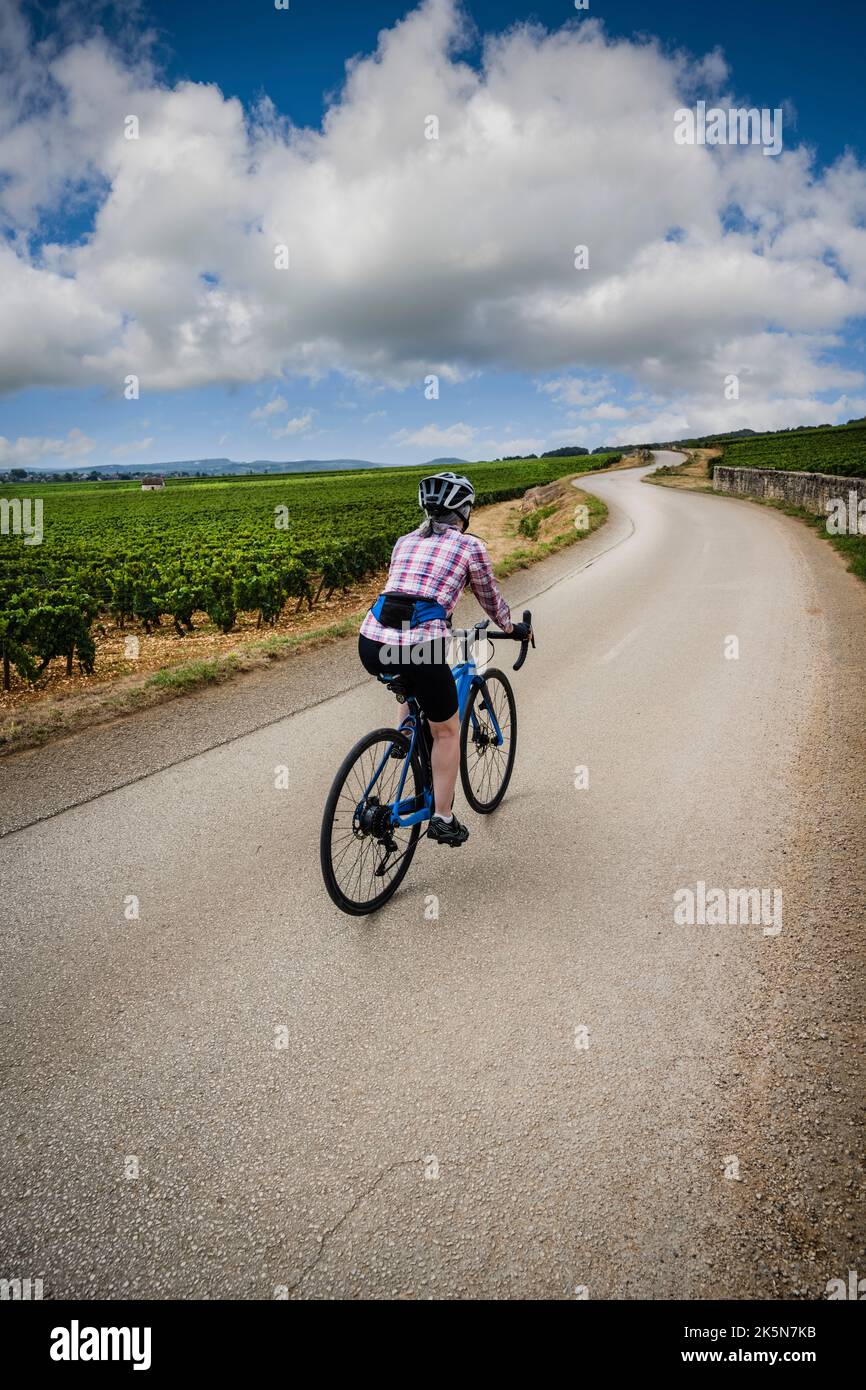 Female road cyclist on the bike wine trail green route, Cote de Beaune, Burgundy, France Stock