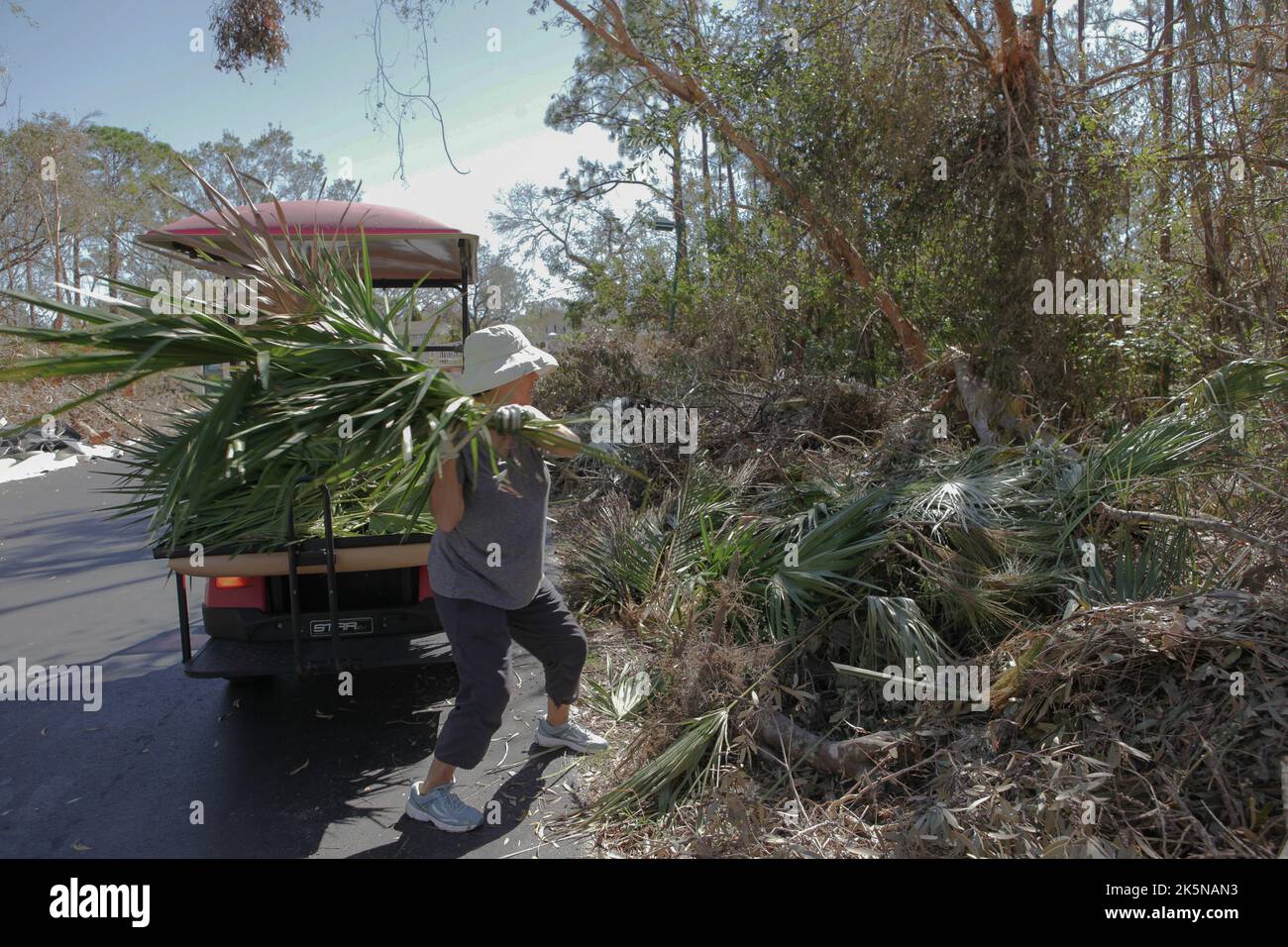 Woman tosses damaged saw palmetto branches onto roadside piles of debris in North Fort Myers, Florida, Oct 8, 2022, © Katharine Andriotis Stock Photo