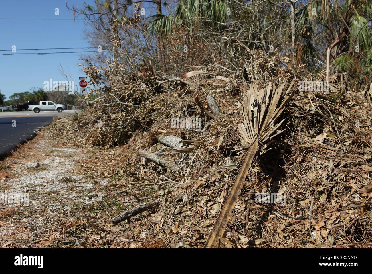 Brush, limbs and branches downed by Hurricane Ian lay along side of road awaiting pick up in N Fort Myers, Florida, Oct 8, 2022, © Katharine Andriotis Stock Photo