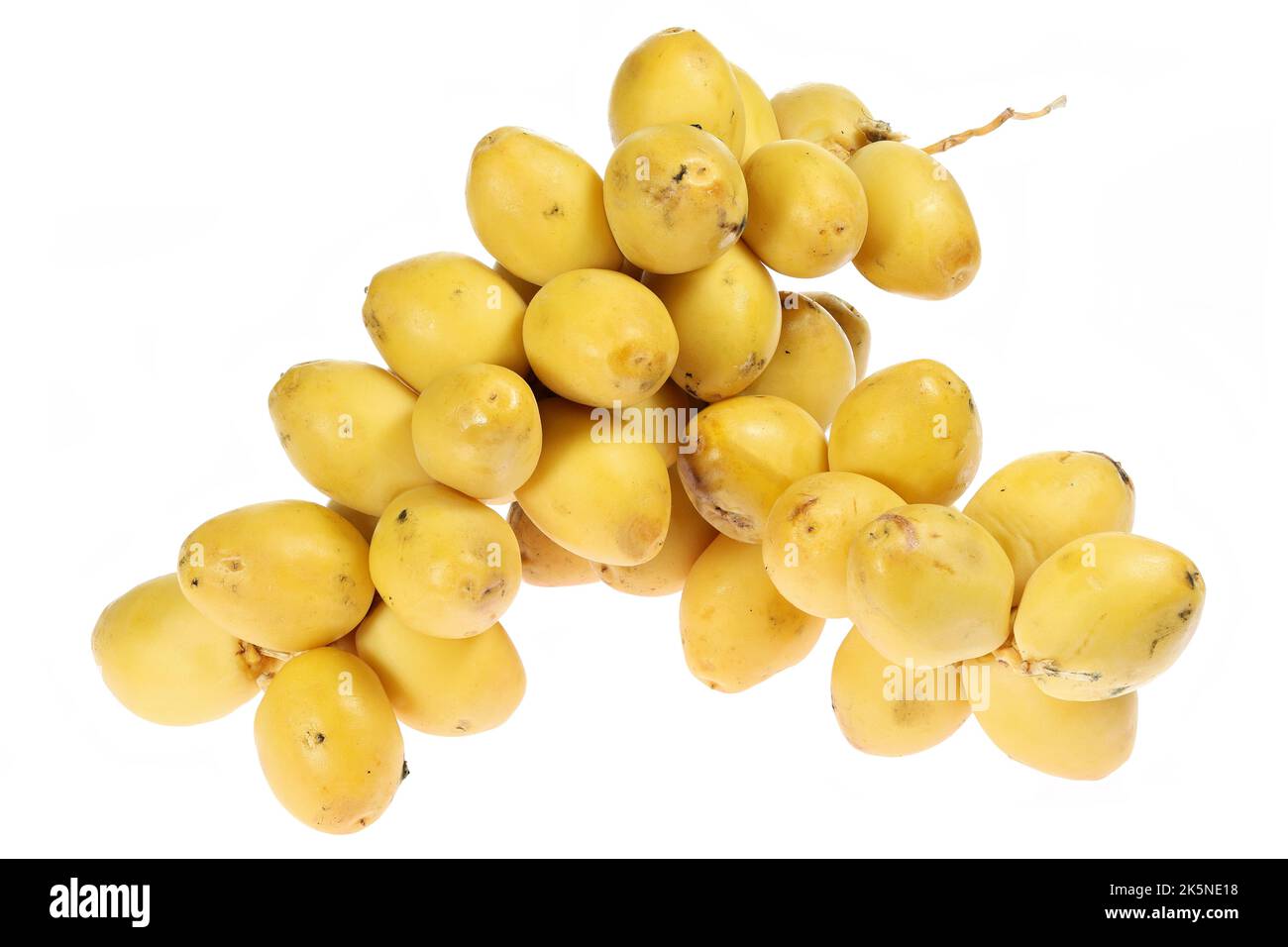 dates isolated on white background Stock Photo