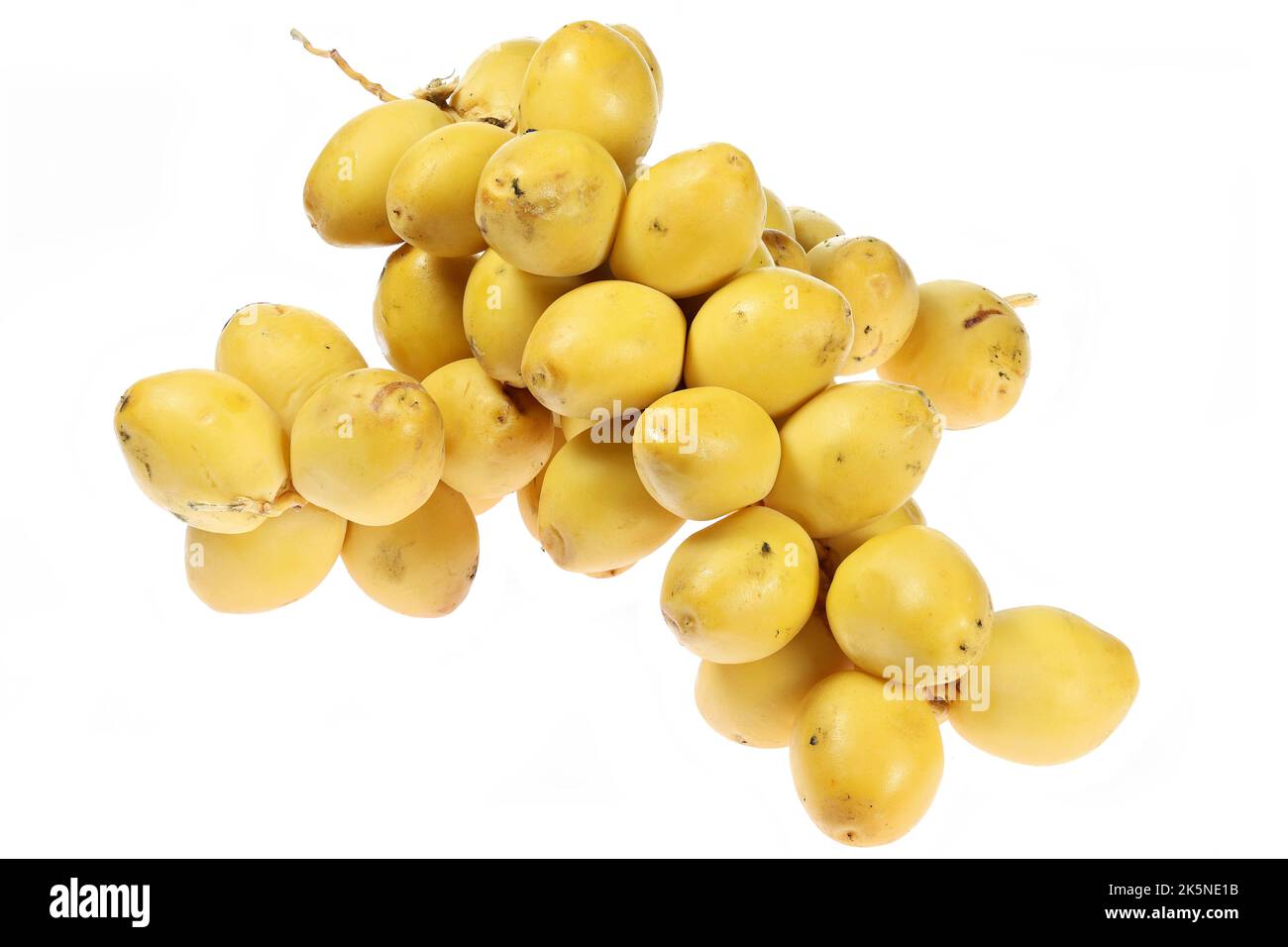 dates isolated on white background Stock Photo
