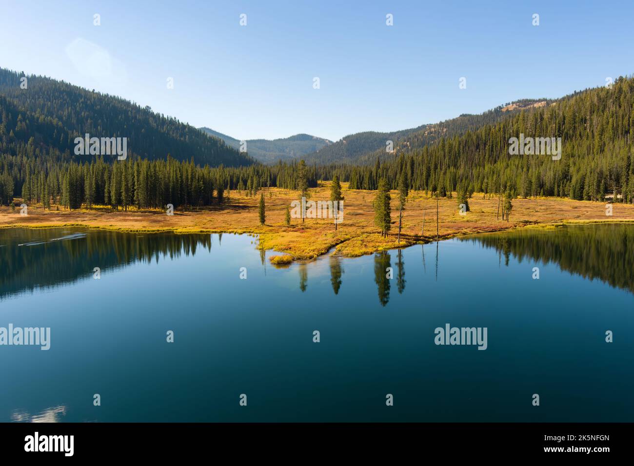 Example Of Alake Inlet Mountain lake inlet with pine trees and grassland Stock Photo - Alamy