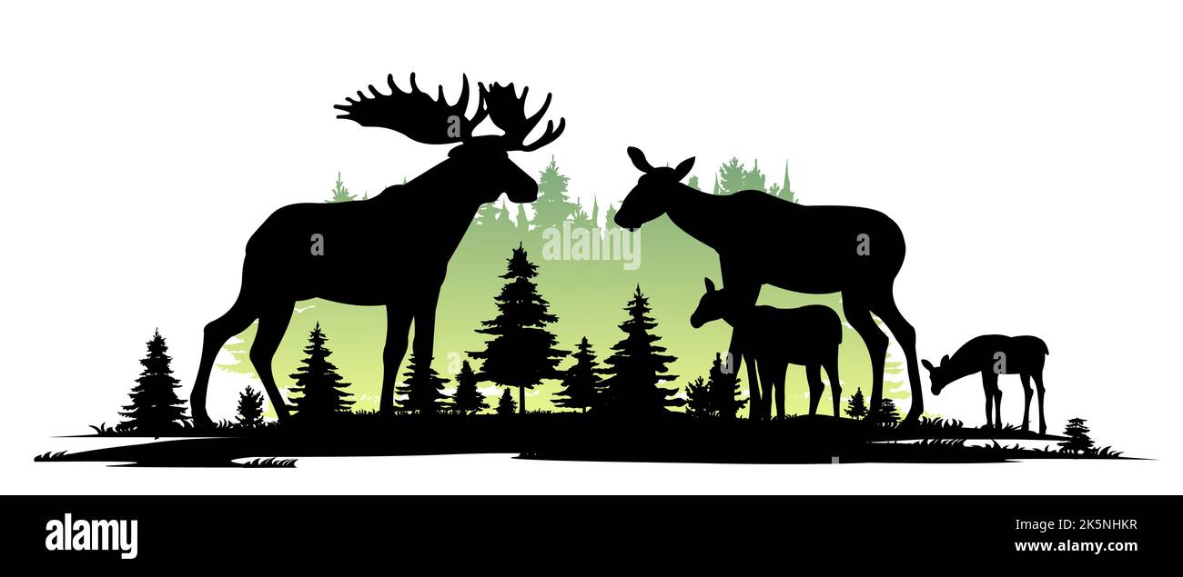 Elk male with large horns and with Moose female with cub Elk. Glade in coniferous forest. Silhouette picture. Animals in wild. Isolated on white Stock Vector