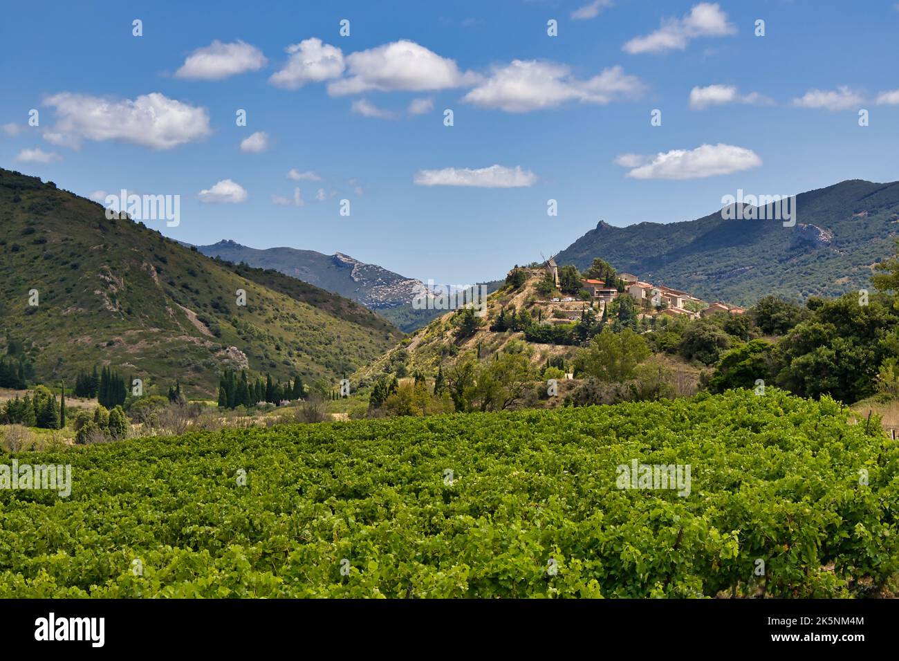 Village surrounded by wine field Stock Photo