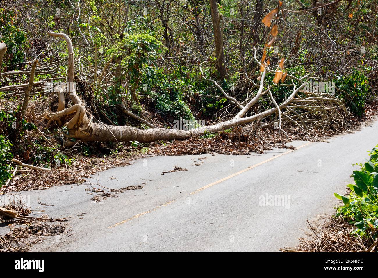 Consequences of Hurricane Fiona. Dominican Republic. Punta Cana. Stock Photo