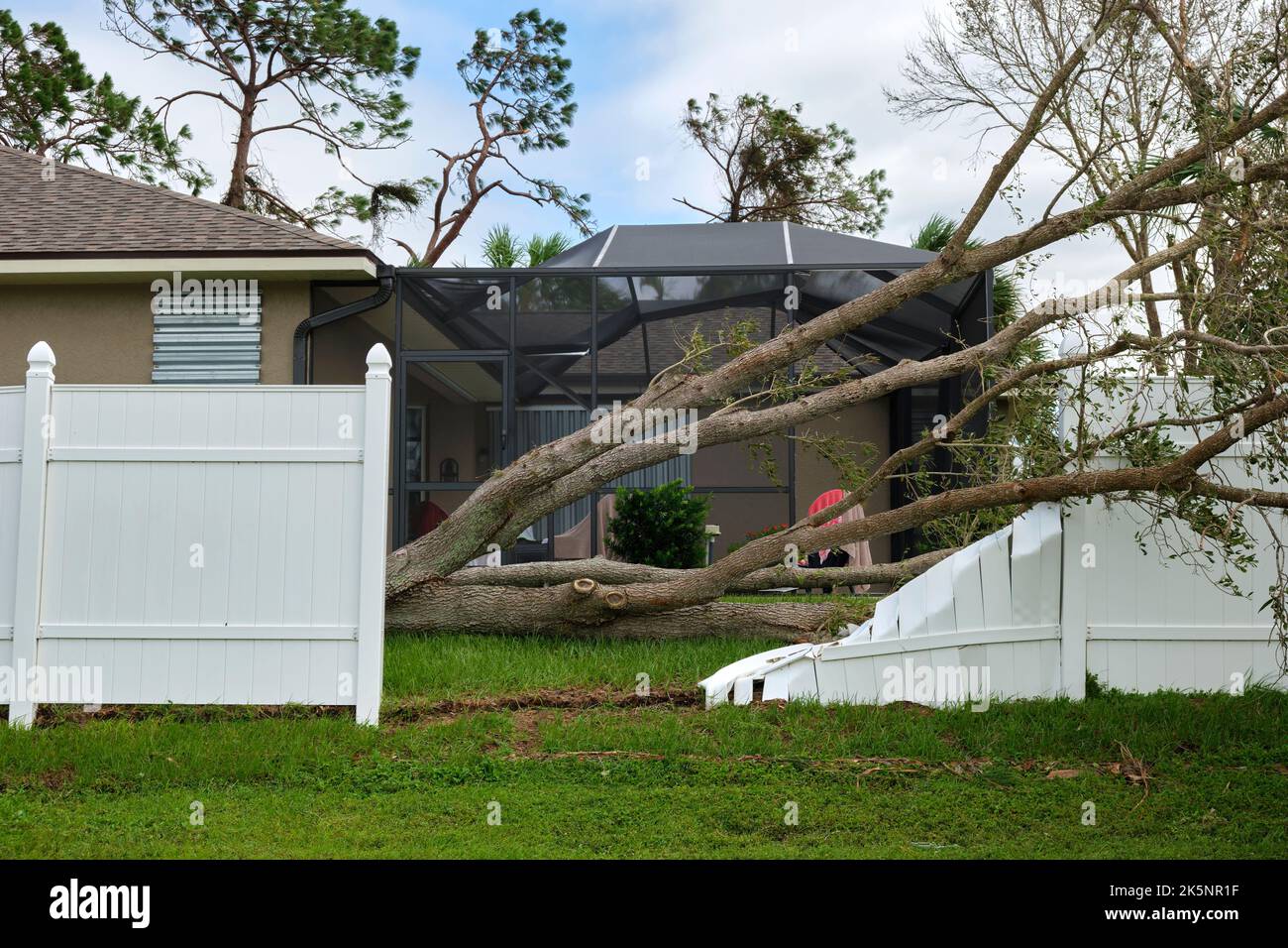 Fallen down big tree caused damage of yard fence after hurricane Ian in ...