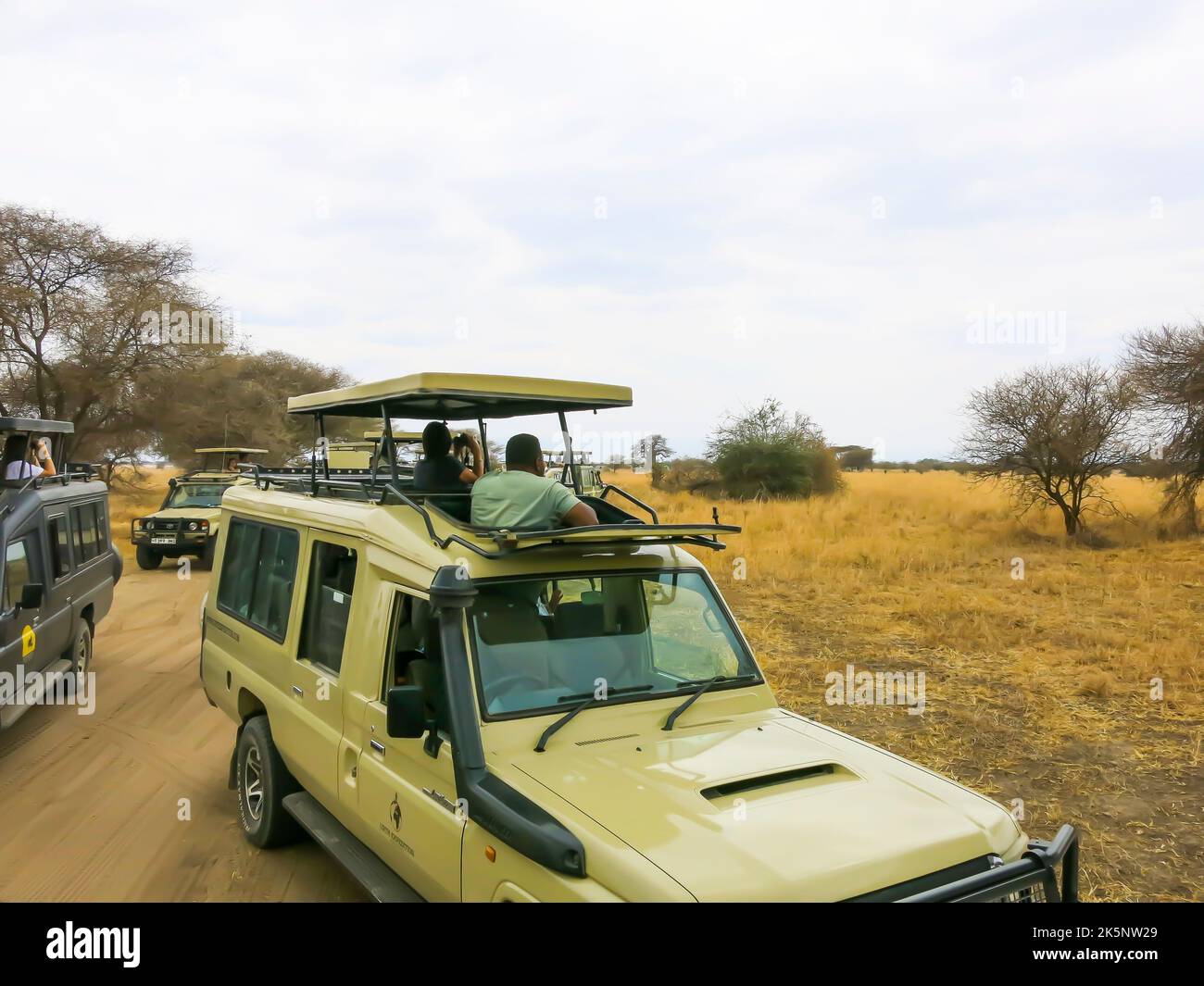 Safari Vehicles Positioned to Provide Best Viewing of Wild Animal Stock Photo