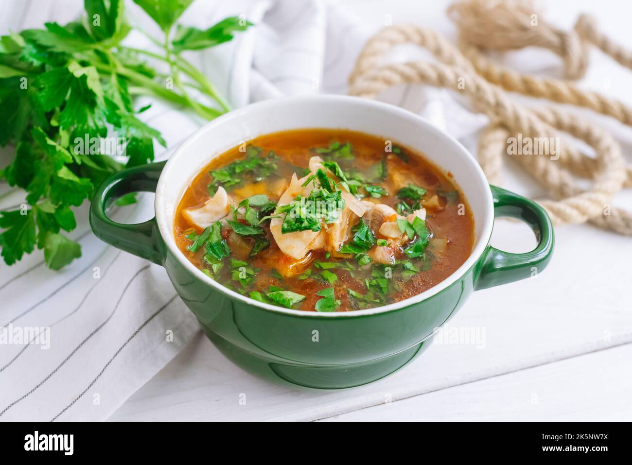 measuring temperature of fish soup during cooking in stockpot by infrared  thermometer on ceramic stove at home kitchen Stock Photo - Alamy