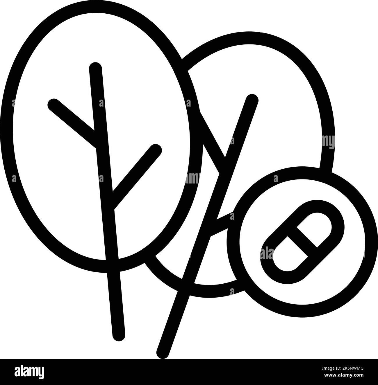 Organic leaf icon outline vector. Diet food. Cooking fruit Stock Vector