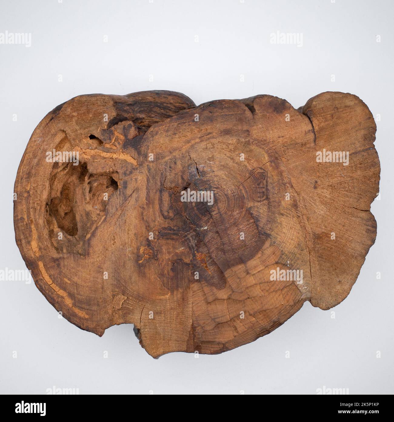 Fine Japanese Natural Gnarled Wood Kadai Stand for Bonsai or Ikebana