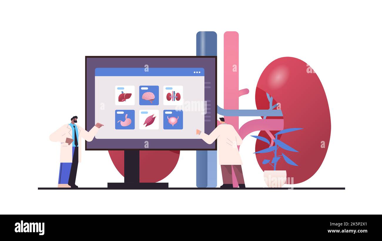 scientists examining anatomical human body internal organs on monitor