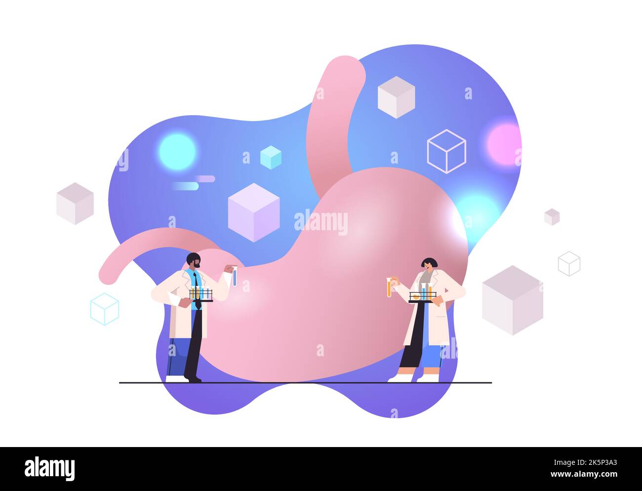 researchers making experiments with anatomical stomach human body