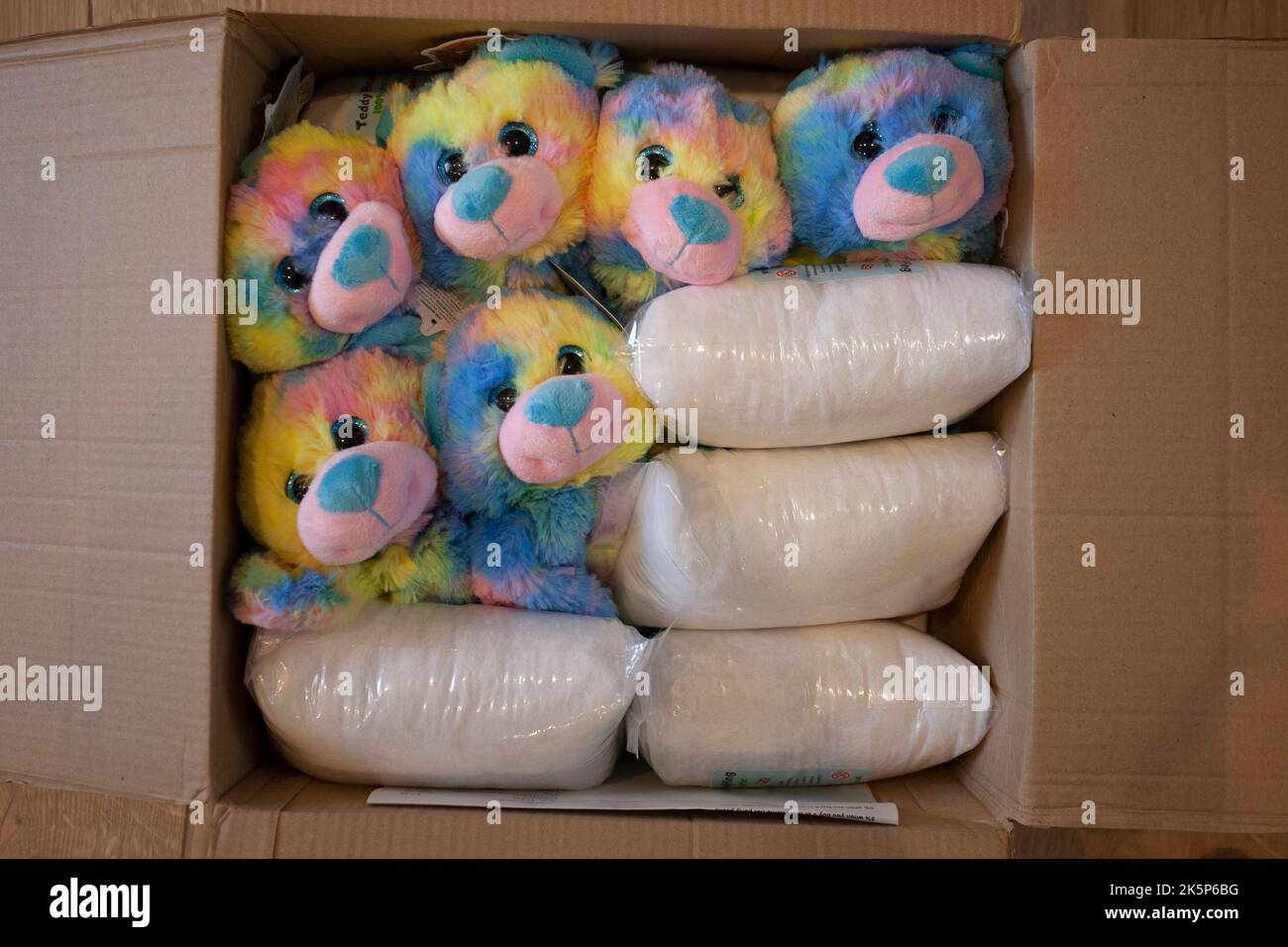 Build your own teddy bear boxed up Stock Photo