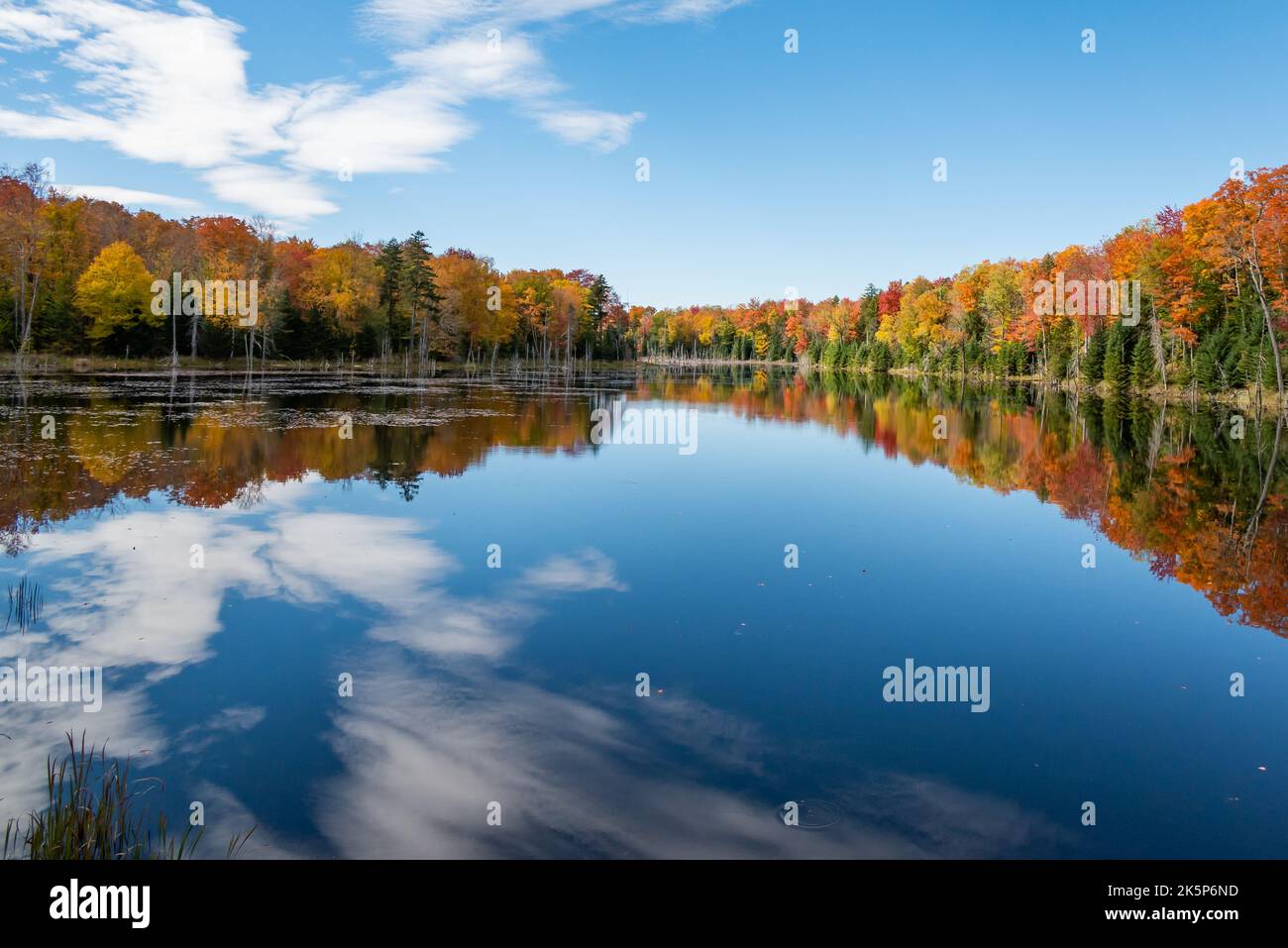 A pond in the Adirondack Mountains, NY USA with colorful autumn fall foliage, blue sky and white clouds reflected in the calm water. Stock Photo