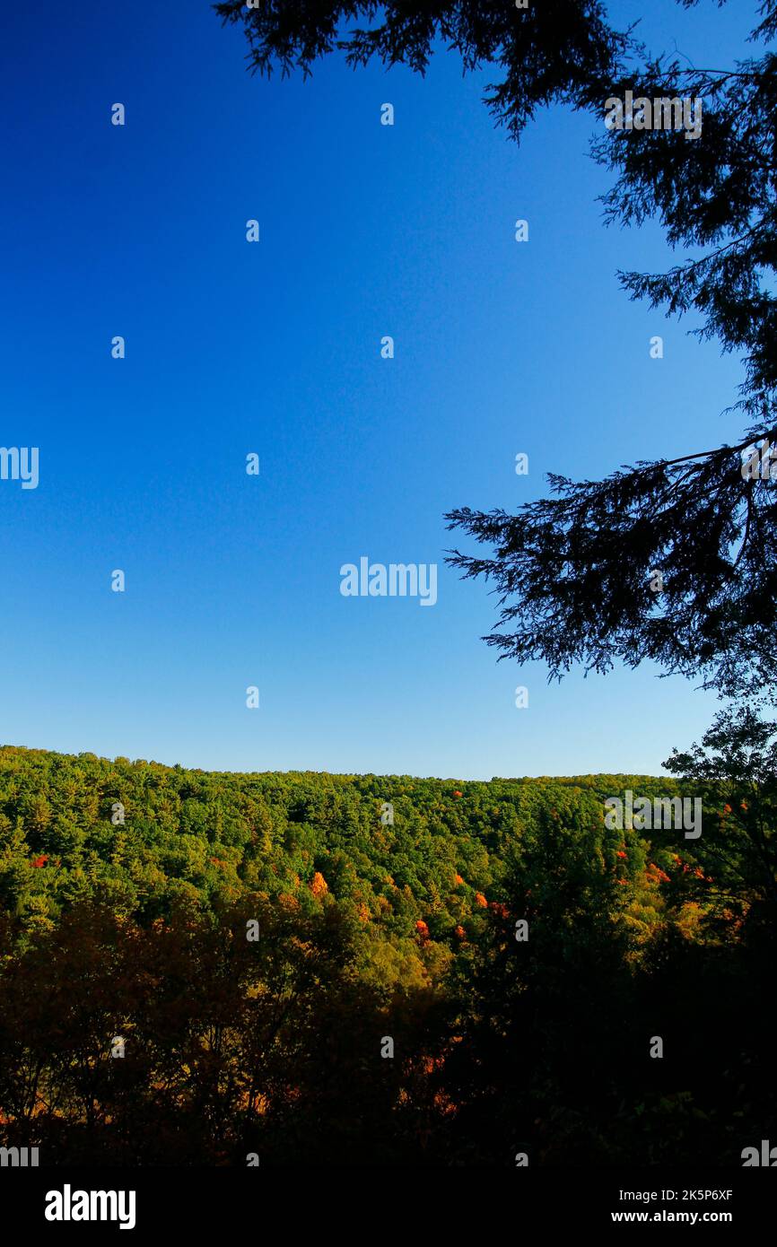 Mohican State Park: Your Ohio Escape Awaits!