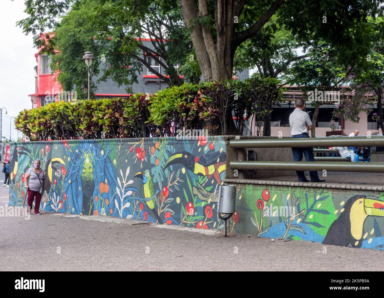 Street scene with a woman walking past a wildlife mural in San José, Costa Rica. Stock Photo