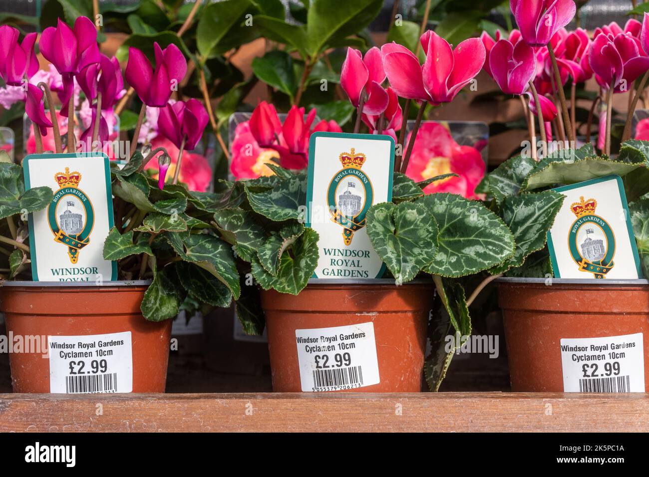The royal farms windsor farm shop hires stock photography and images Alamy