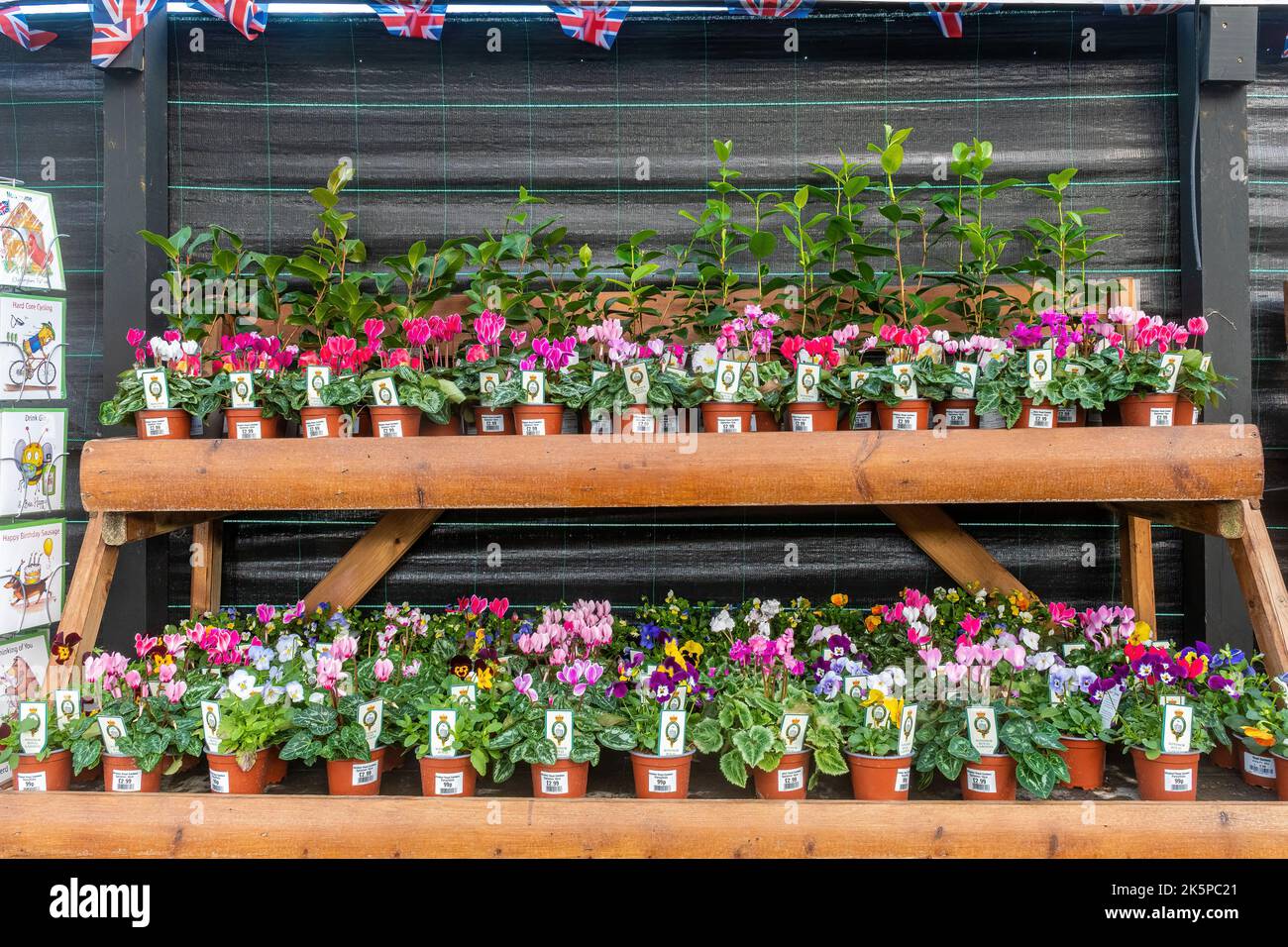 Windsor Farm Shop near Old Windsor, selling produce, food and plants