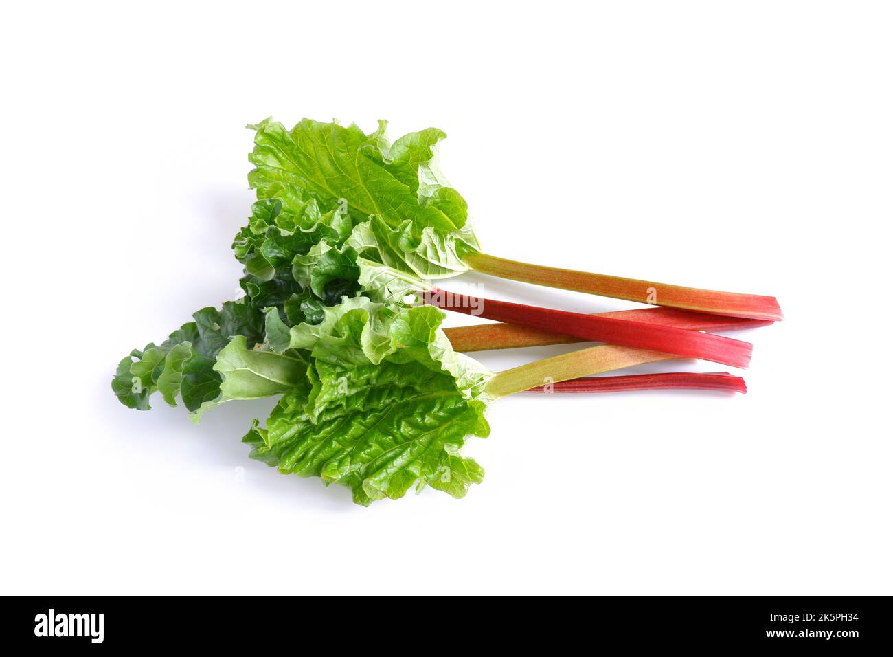 Red and green rhubarb stalks with leaves on a white background. Fresh useful plant from the garden. Stock Photo