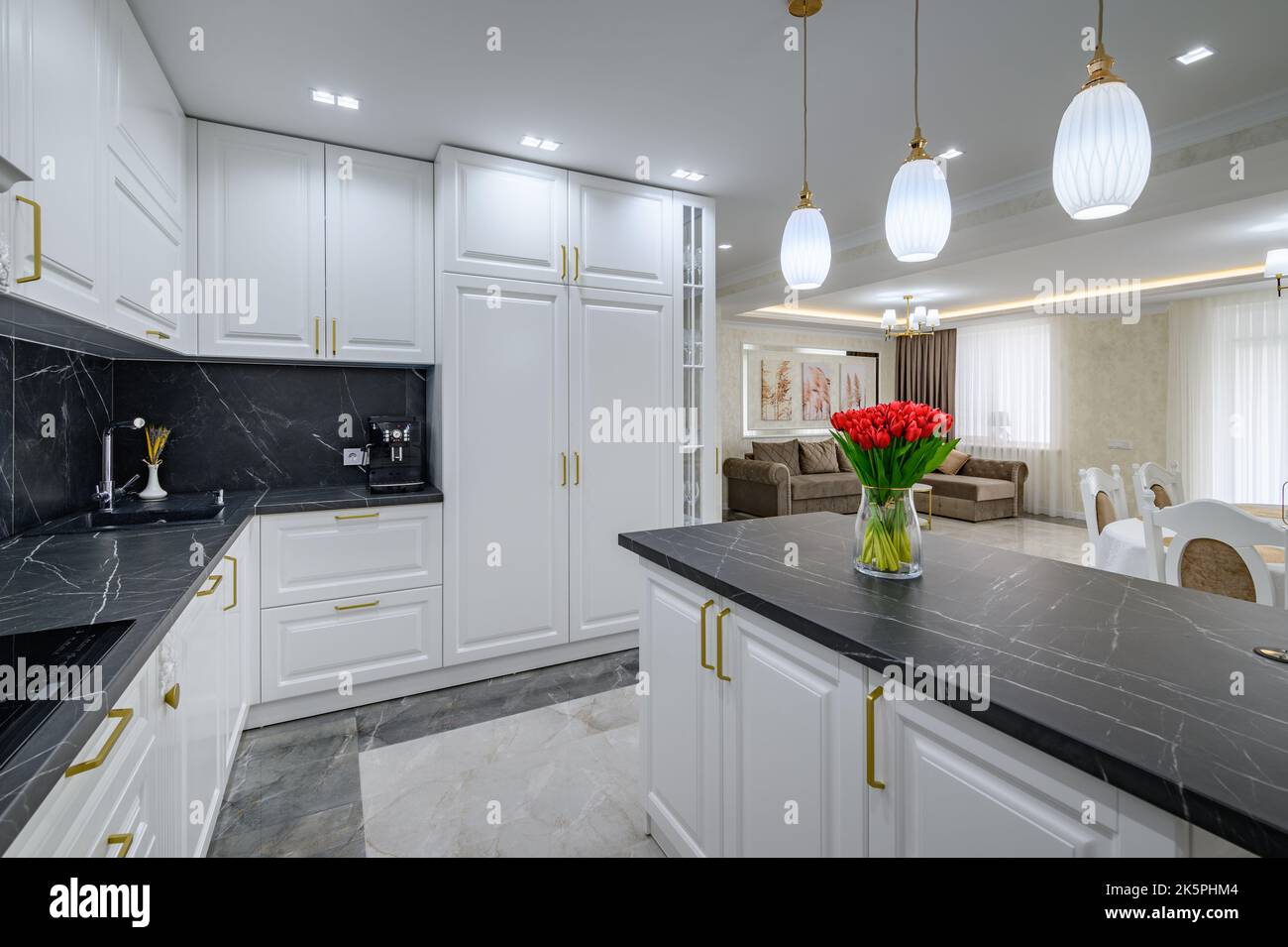 Large black and white expensive welldesigned modern kitchen in studio