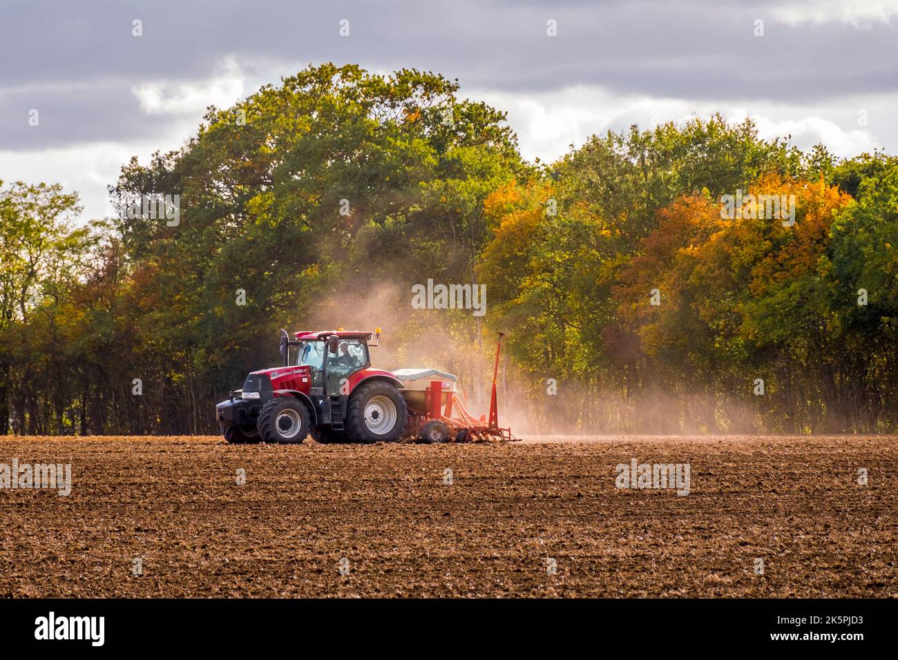 Seed sowing a field in autumn. Suffolk, UK. Stock Photo