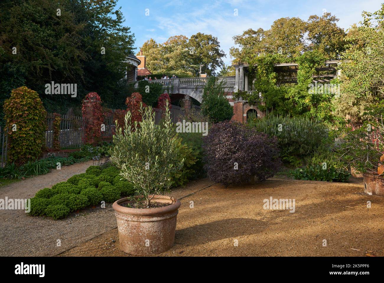 Shrubs and flower beds at the Hill Garden on Hampstead Heath, North London UK, in October Stock Photo