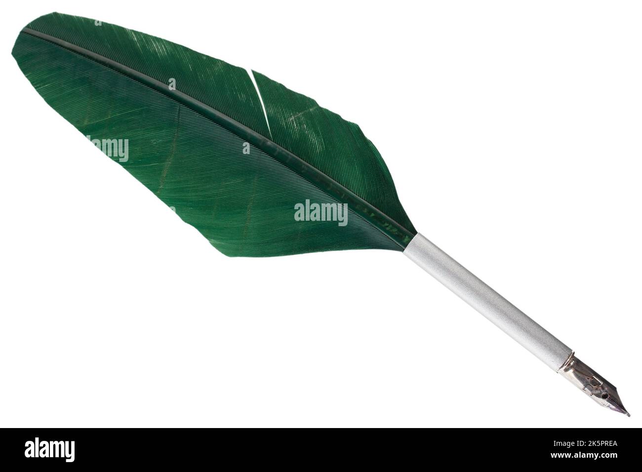 Old vintage feather quill isolated on white background Stock Photo - Alamy
