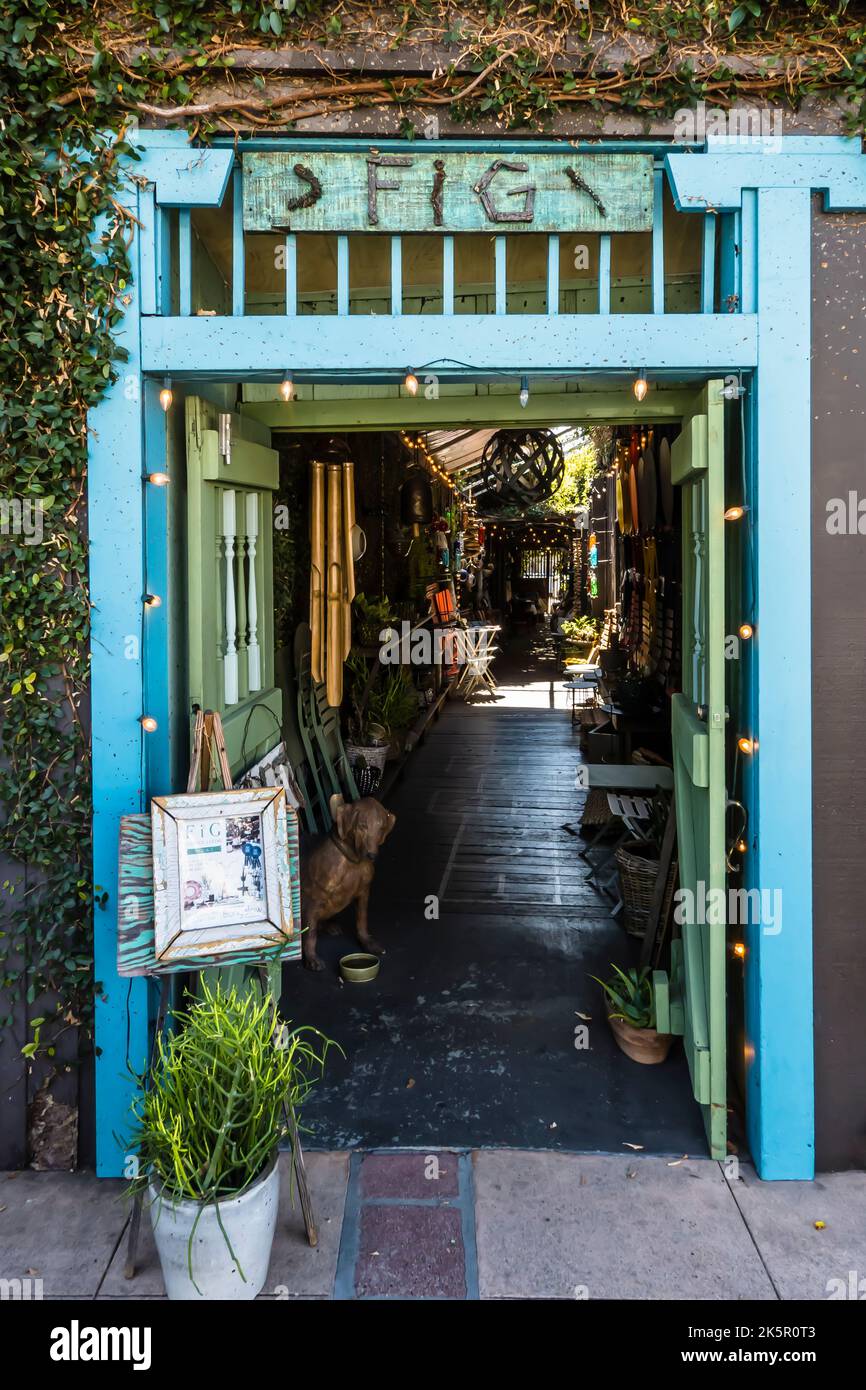 The front doorway and passageway of the Fig Curated Living store