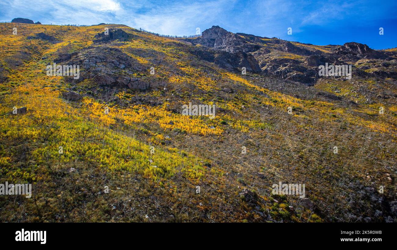 Lamoille Canyon in the Fall Stock Photo
