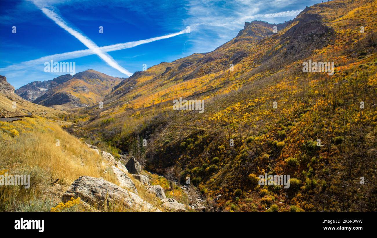 Lamoille Canyon in the Fall Stock Photo