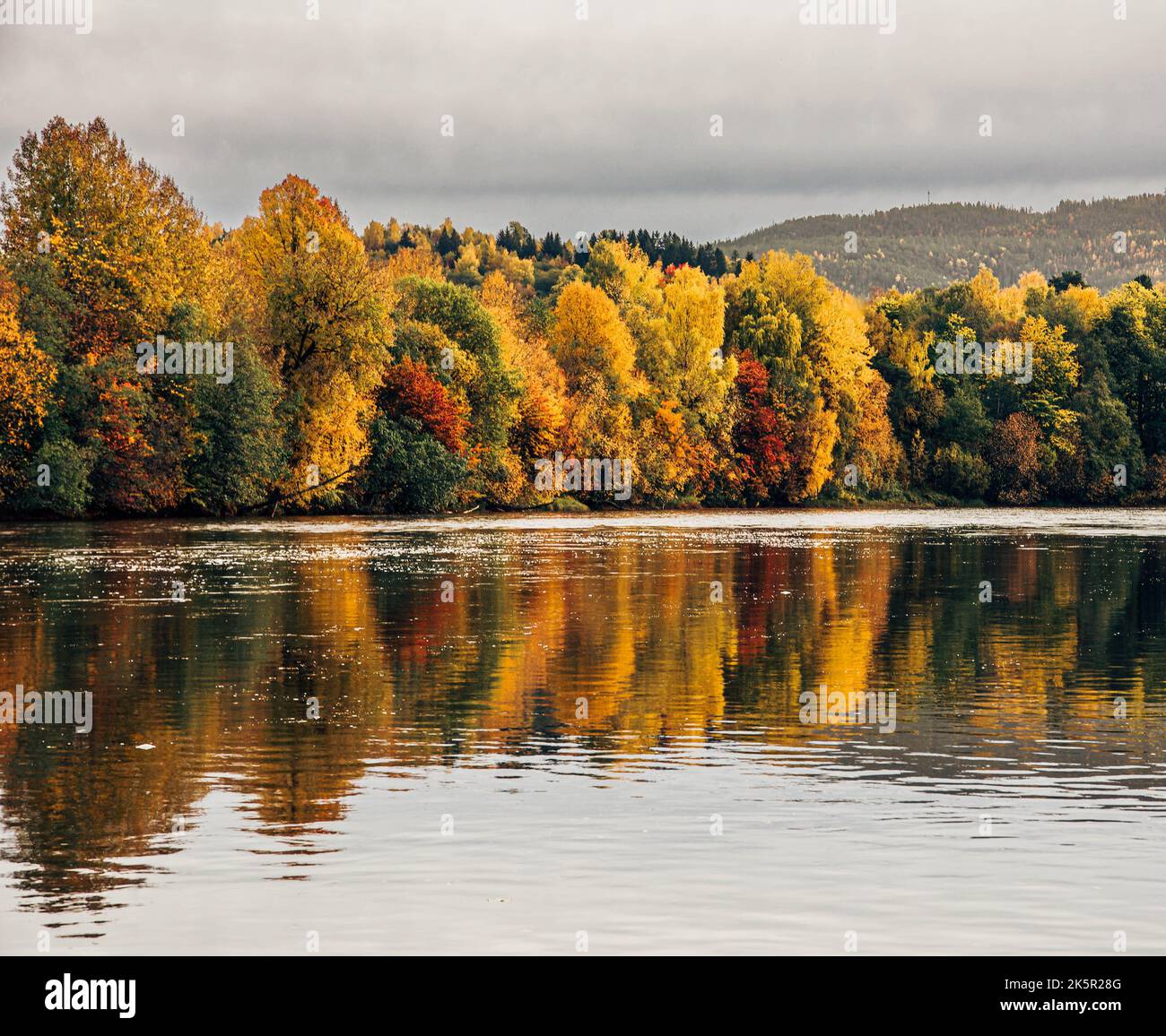 A scenic view of a colorful autumn forest reflected on the lake in a ...