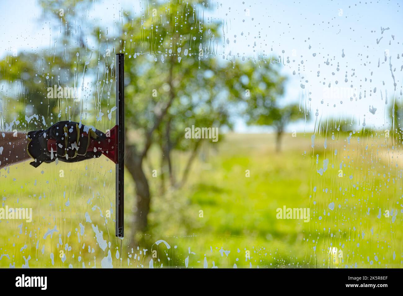 Professionell window cleaning Service with squeegee on a sunny Day Stock Photo