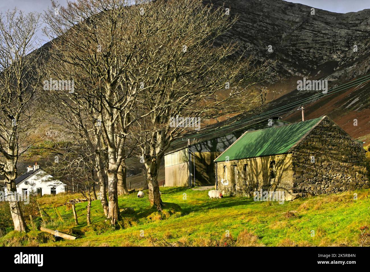 Connemara Farm House and cottage, Inagh Valley, County Galway, Republic