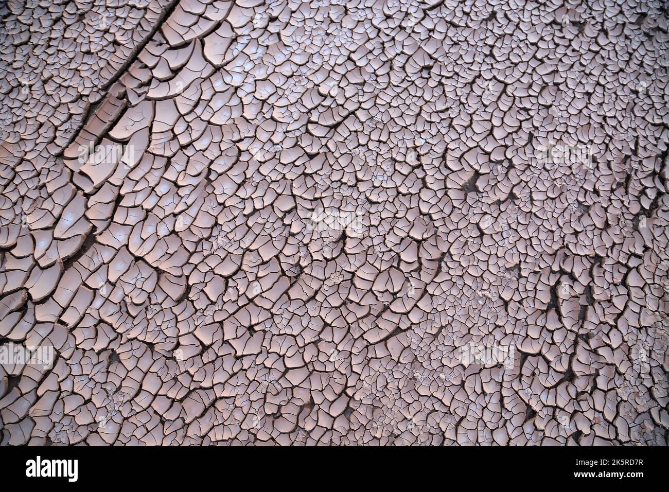 Cracked clay texture Stock Photo