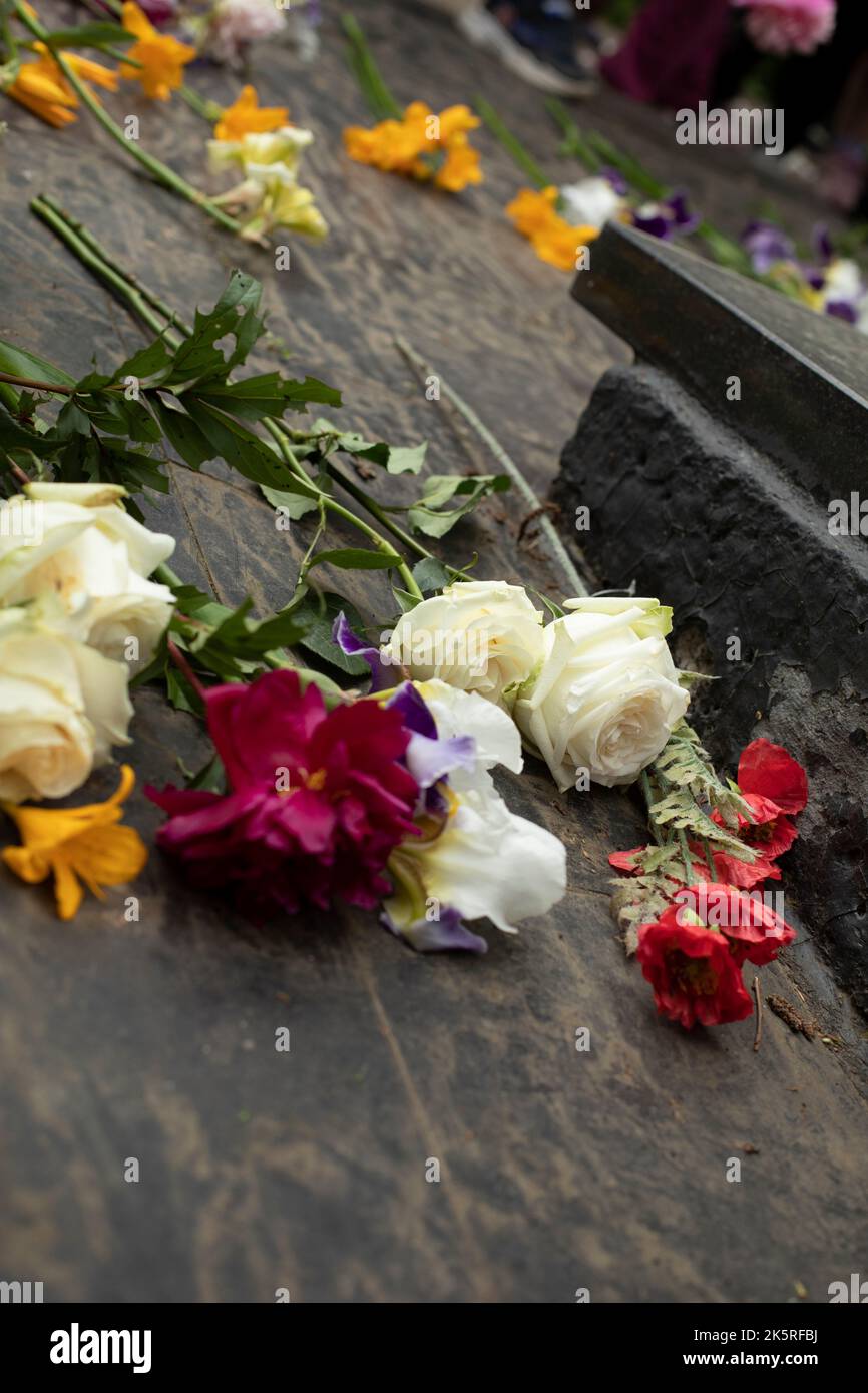 Laying flowers on tombstone. Flowers at ceremony. Grave of