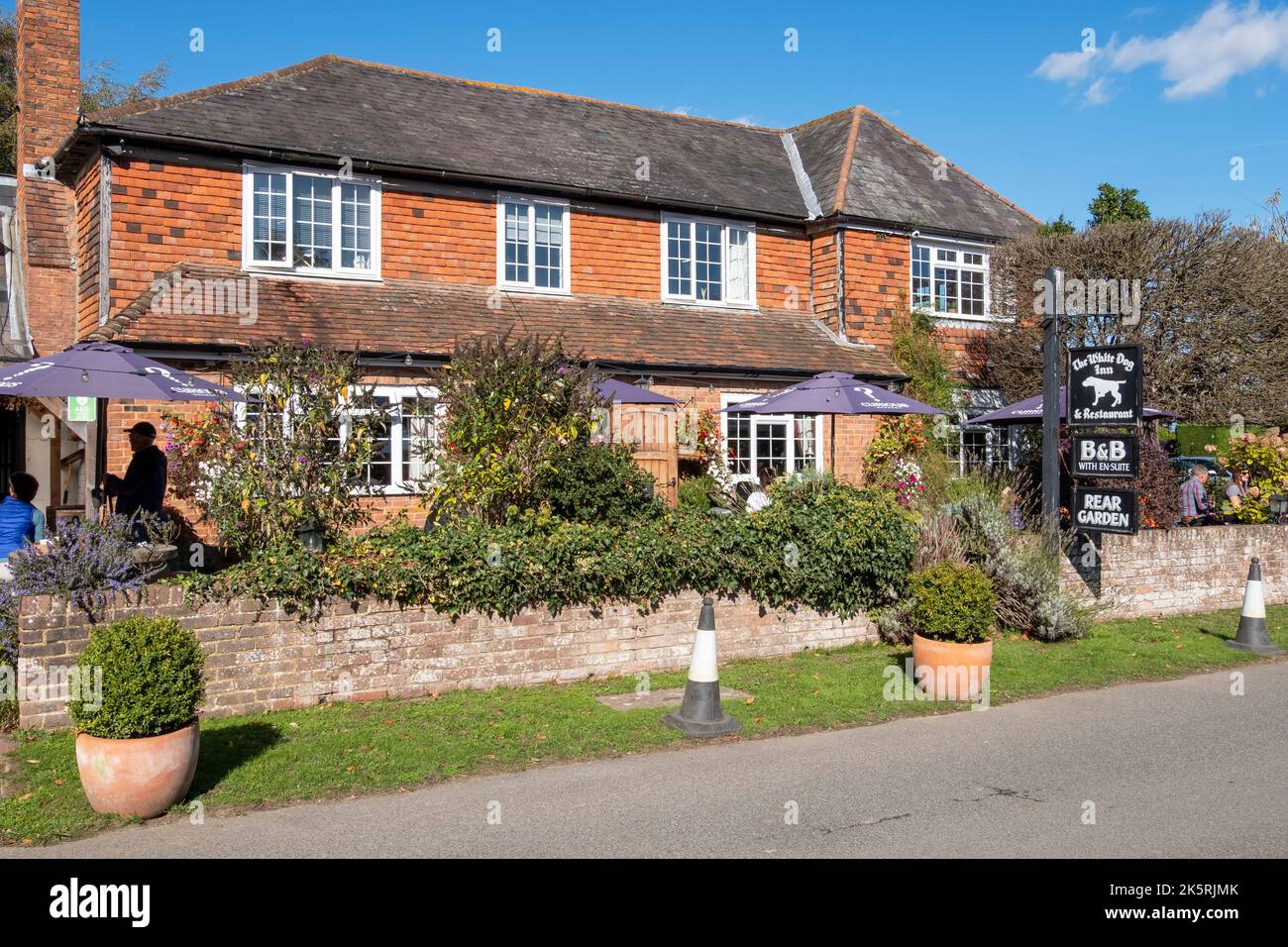 The White Dog pub, Ewhurst Green, East Sussex, UK Stock Photo