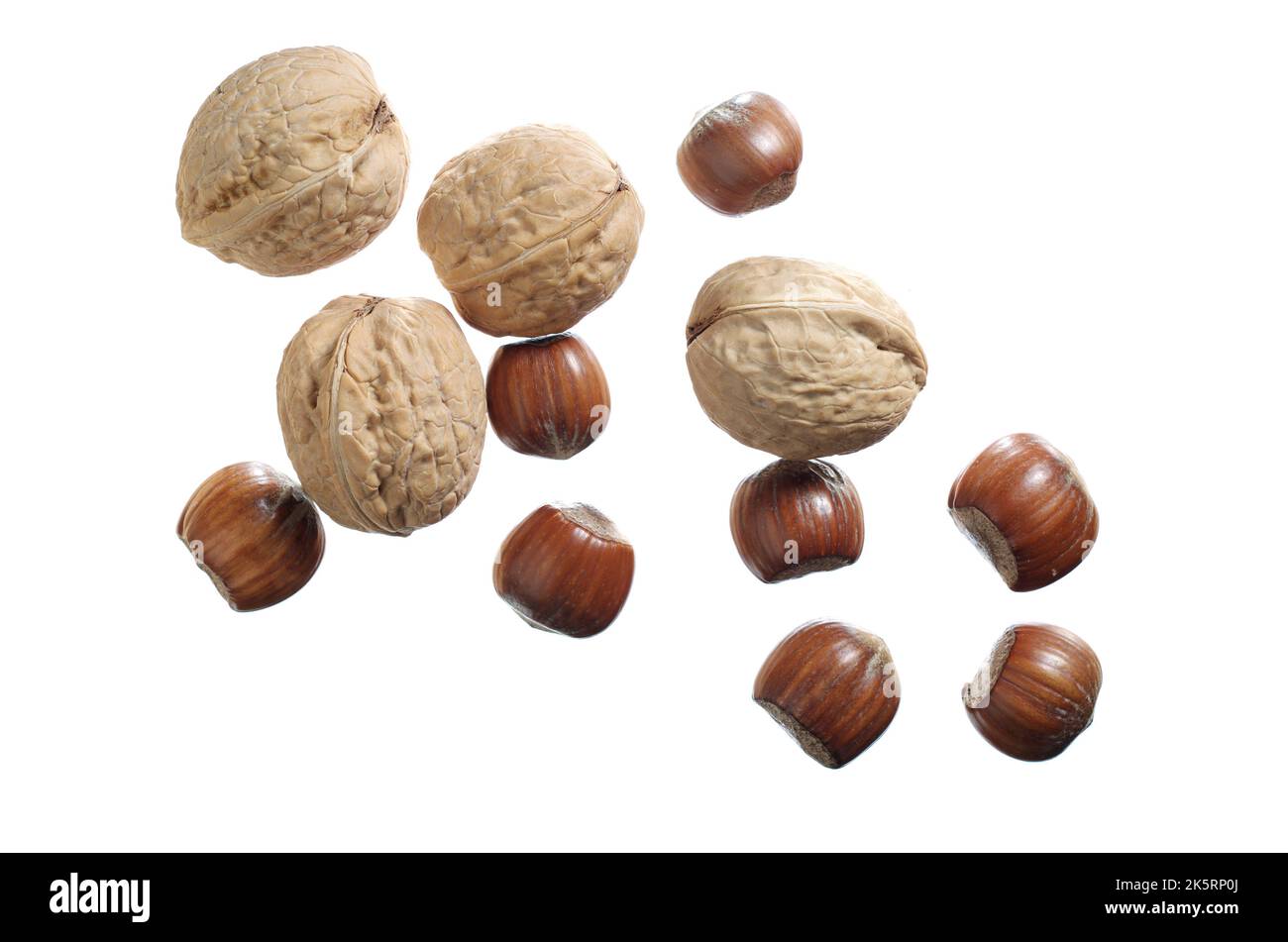 Walnuts and hazelnuts in shell isolated on a white background, top view Stock Photo