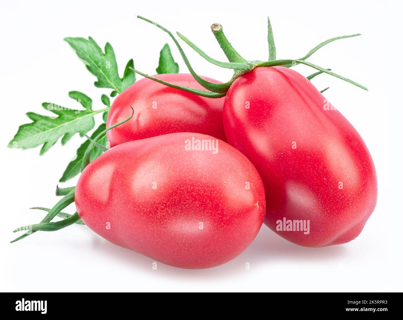 Three pink tomatoes (plums) with tomato leaves isolated on white background. Stock Photo