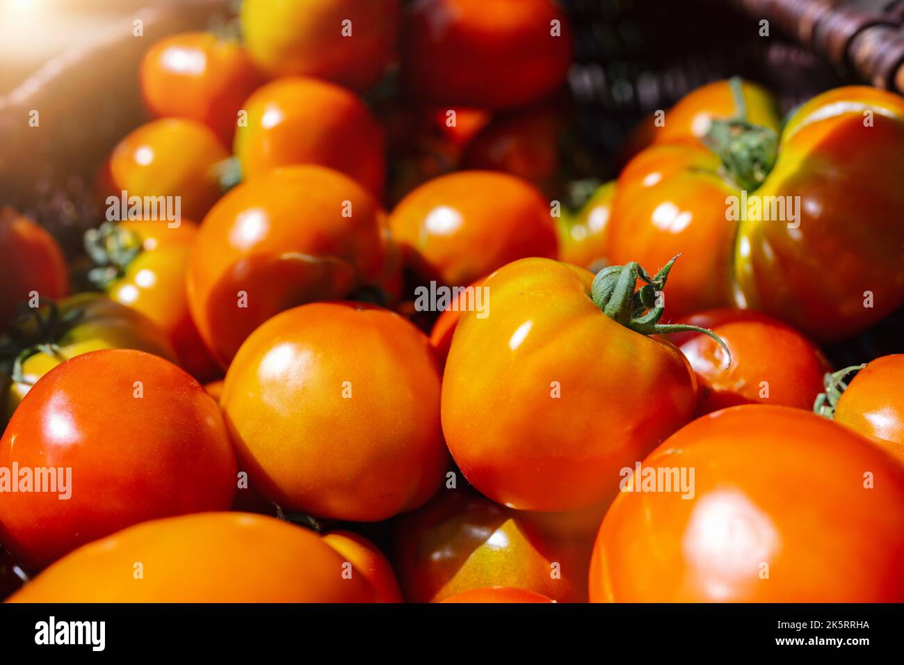 Close up farm fresh hi-res stock photography and images - Alamy