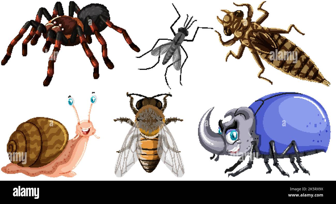 Set of different kinds of insects illustration Stock Vector Image & Art ...