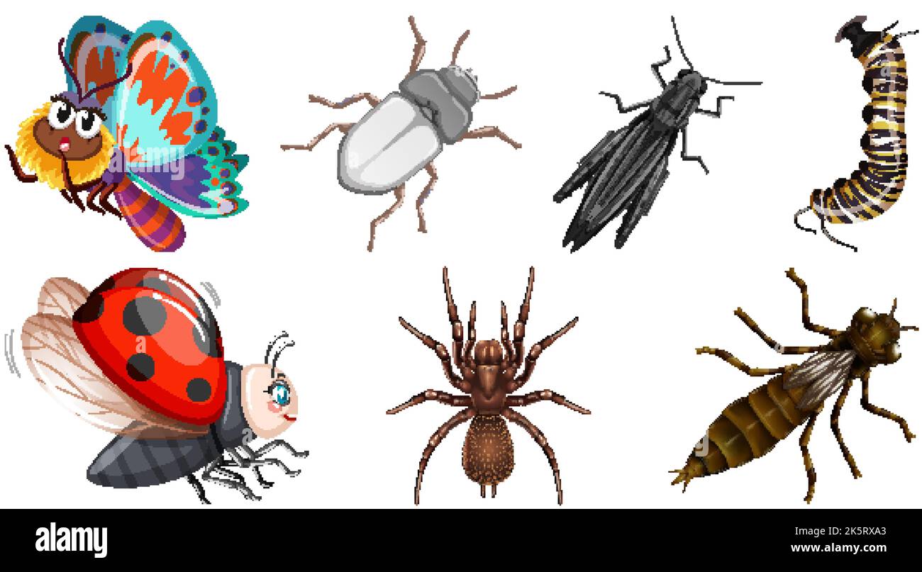 Set of different kinds of insects illustration Stock Vector Image & Art ...