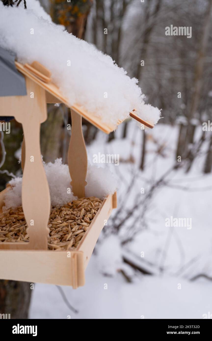 wooden feeder for wild forest birds with food hanging on tree covered with fresh icy frozen snow and snowflakes on frosty winter day in forest or gard Stock Photo