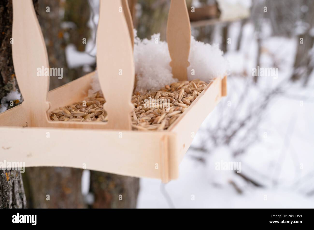 wooden feeder for wild forest birds with food hanging on tree covered with fresh icy frozen snow and snowflakes on frosty winter day in forest or gard Stock Photo