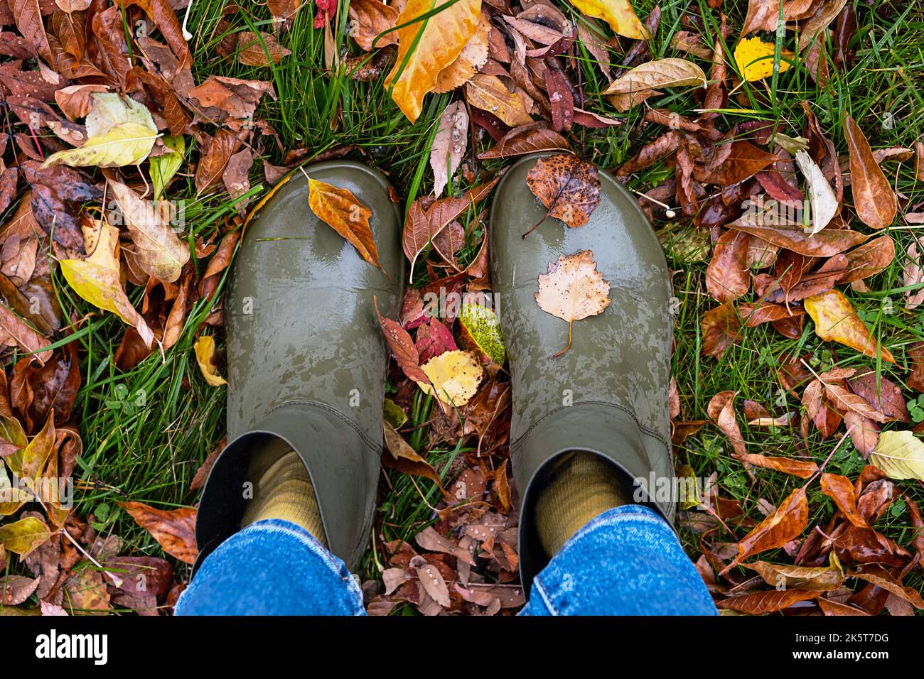 Feet in rubber boots standing in wet grass with coloured fallen leaves