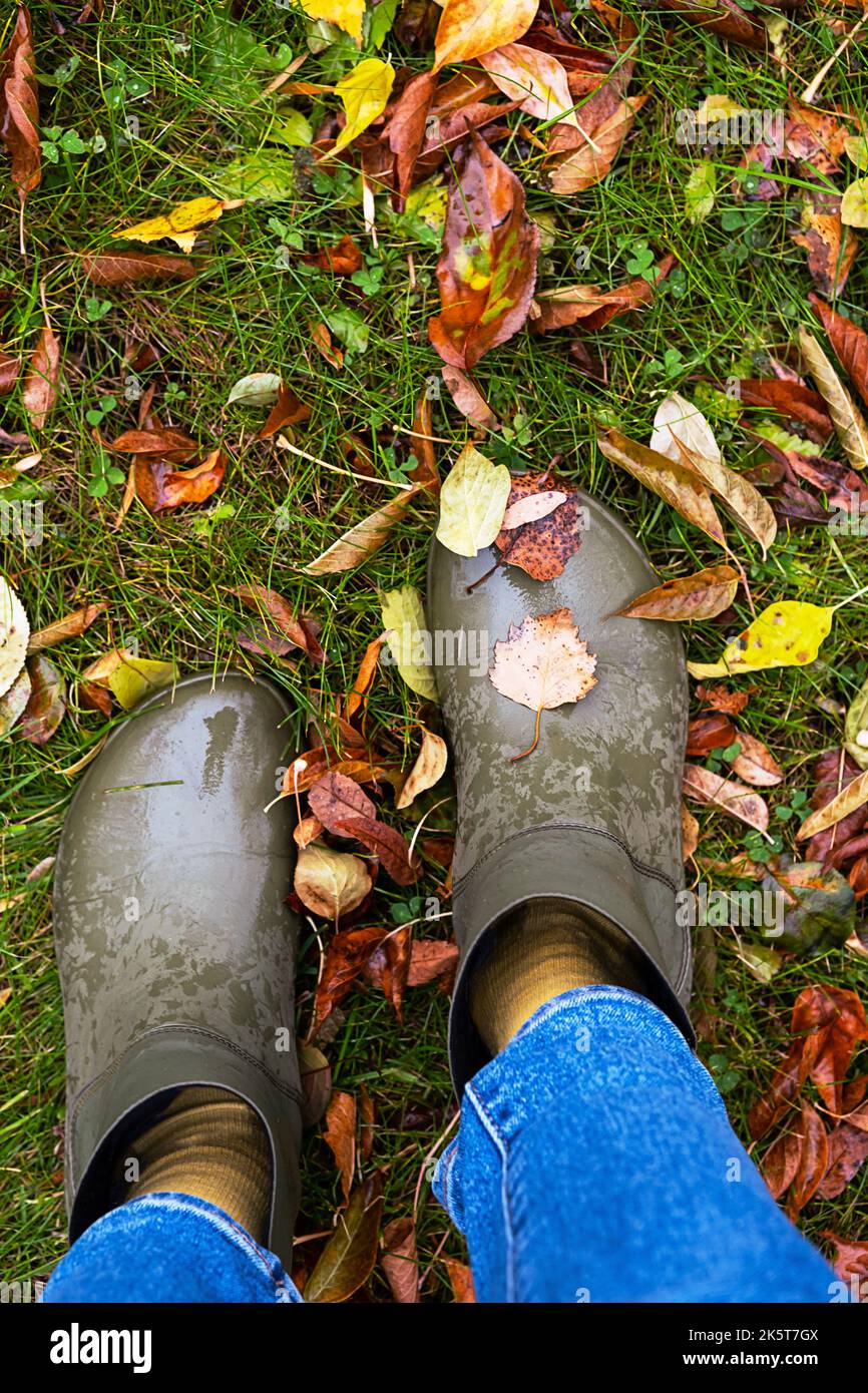 Feet in rubber boots standing in wet grass with coloured fallen leaves ...
