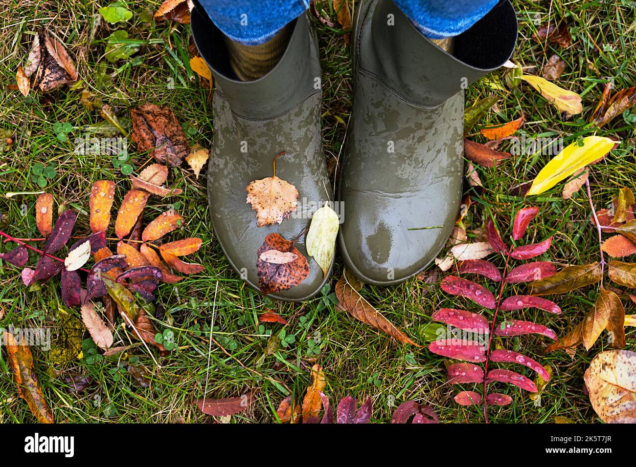 Feet in rubber boots standing in wet grass with coloured fallen leaves