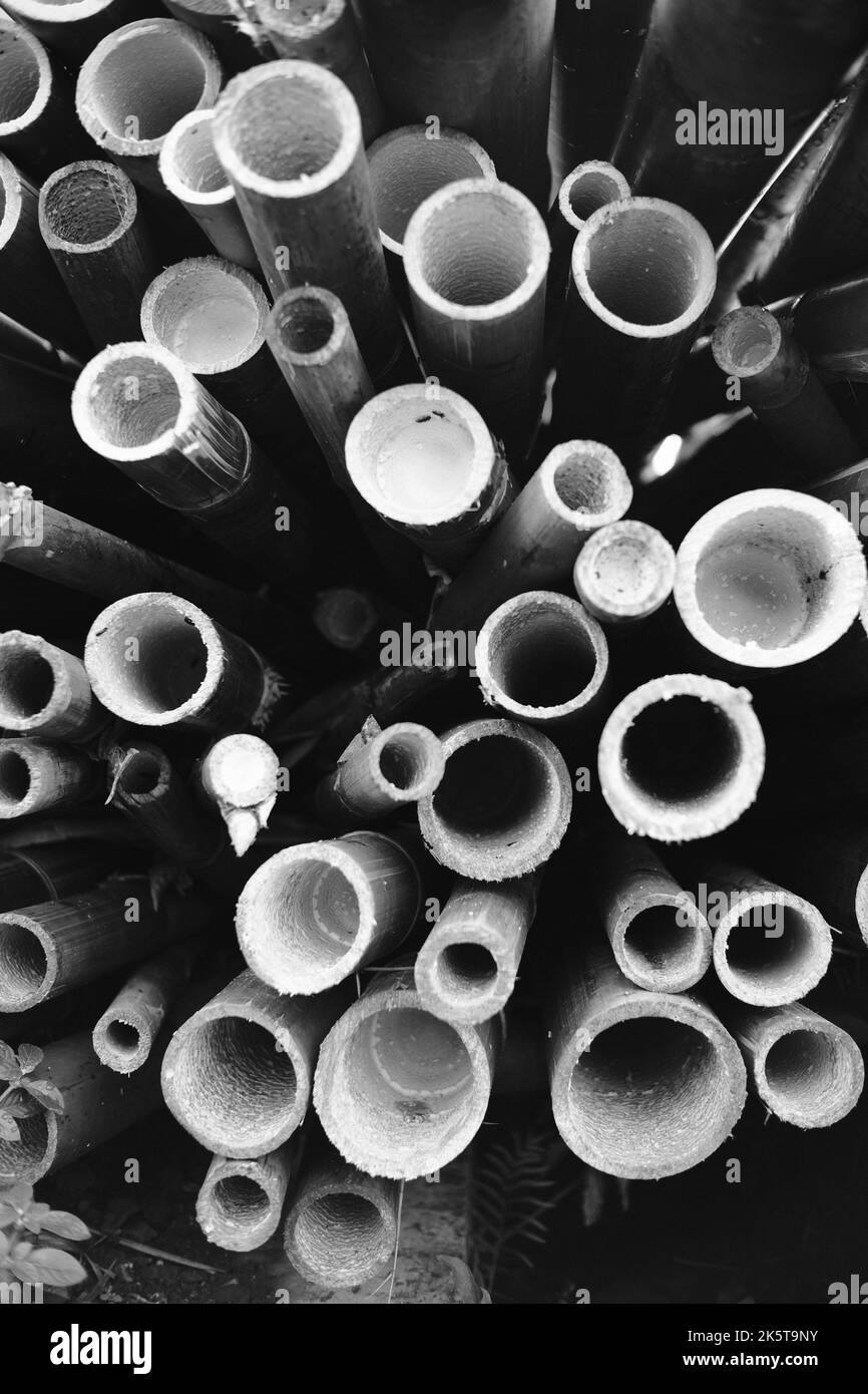 Piles of bamboo, Monochrome photo of holes from stacked bamboo sticks in the Cikancung area - Indonesia Stock Photo