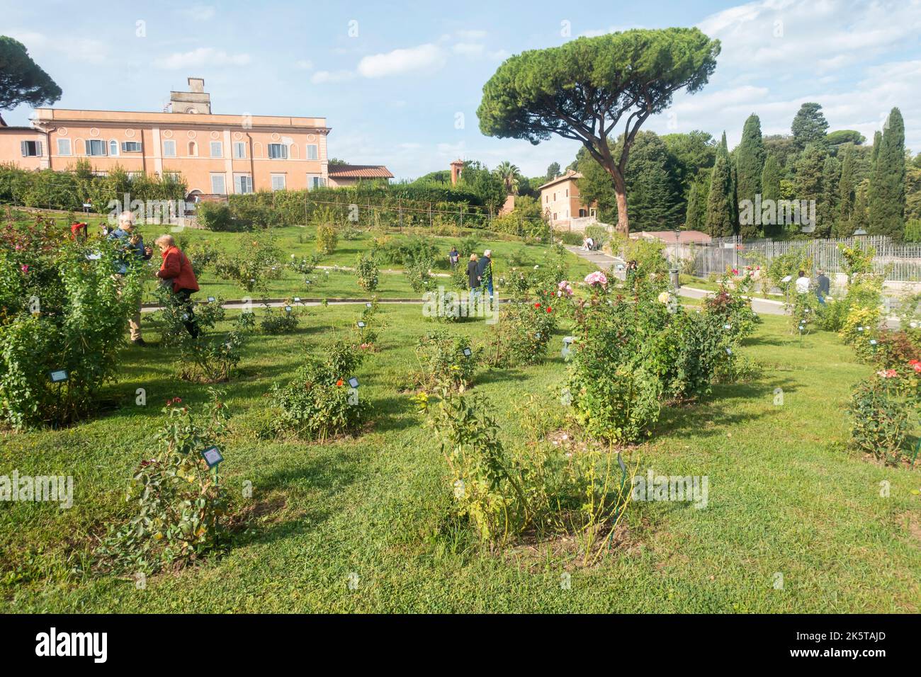 Rome, Italy - October 2022 - Roseto Comunale, The Municipal Rose Garden, one of Rome’s most romantic gardens of Rome, on the Aventine Hill Stock Photo