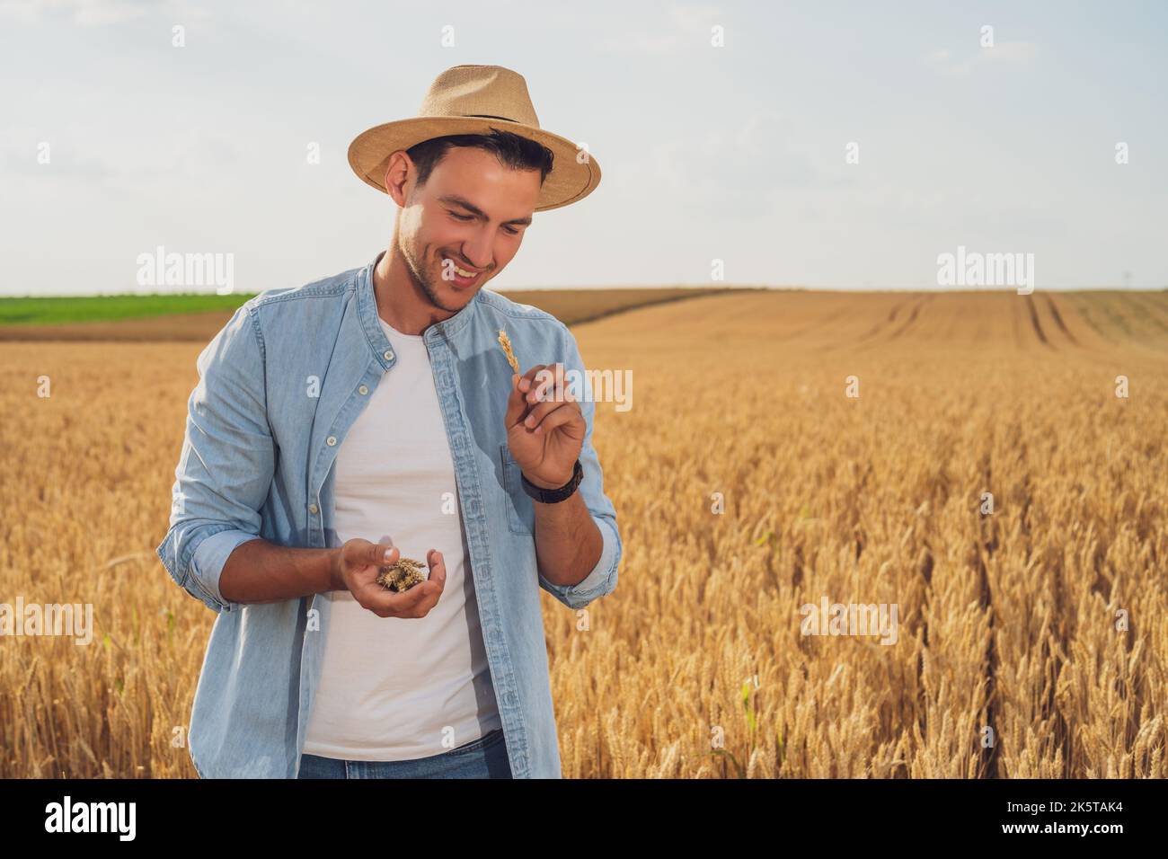 Happy farmer is standing in his growing wheat field and examining crops ...